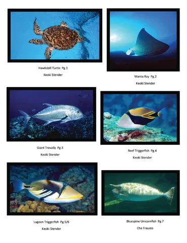 Earrings ADVANCEWILDLIFE Ma Kai Hawaiian Marine Wildlife Educational Coloring Book
