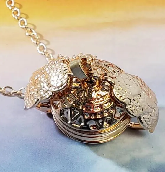N339 Gold Multi Photo Locket Necklace with FREE EARRINGS alice Necklaces