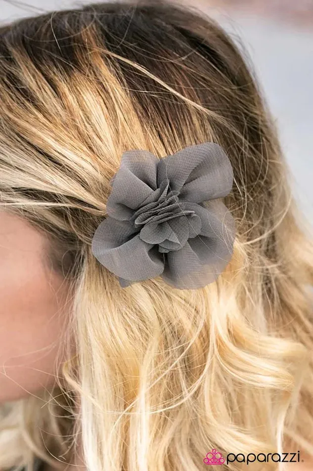 Paparazzi Jewelry Rings Paparazzi Hair Accessories Bookworm Silver
