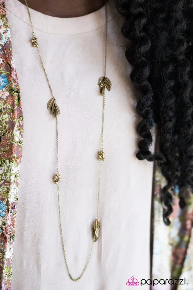 Paparazzi Necklace Free As A Bird Brass Paparazzi Jewelry Necklaces