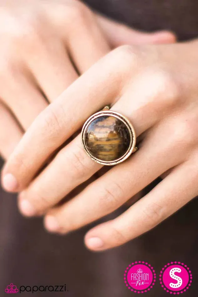 Paparazzi Ring Easy Tiger Brass Paparazzi Jewelry Rings
