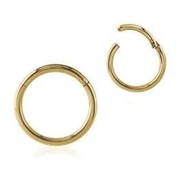 18g Zircon Gold Hinged Segment Ring Tulsa Body Jewelry Rings
