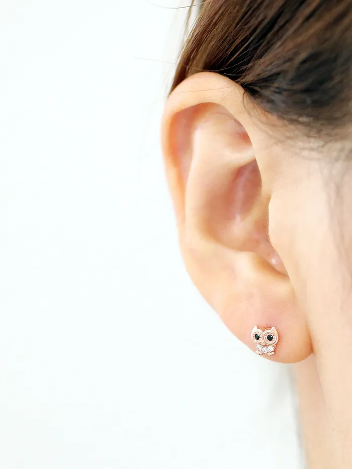 Earrings MinimalBijoux 14K Gold Cubic Owl cartilage earring 20g