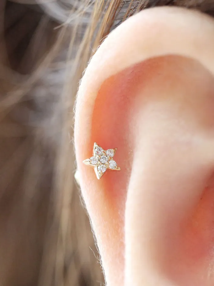 Earrings MinimalBijoux 14K Gold Mini Star Cartilage Earring 18G16G