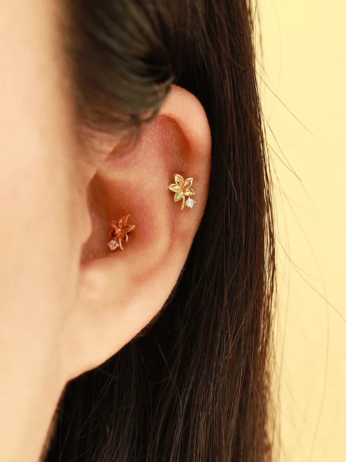 MinimalBijoux Earrings 14K Gold Maple Mini Cubic Cartilage Piercing Earring 20G18G16G