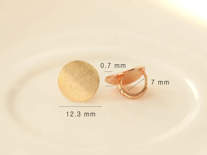 MinimalBijoux Earrings 14K Gold Matte Coin Hoop Earring