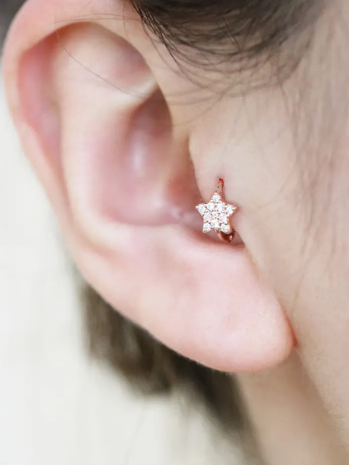 MinimalBijoux Earrings 14K Gold Star Hoop Earring
