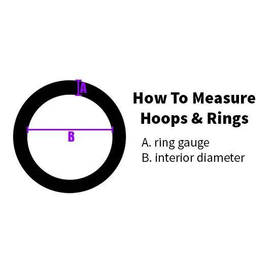 NeoMetal Rings 18g Niobium Continuous Ring by NeoMetal NeoMetal Rings 18g Niobium Continuous Ring by NeoMetal