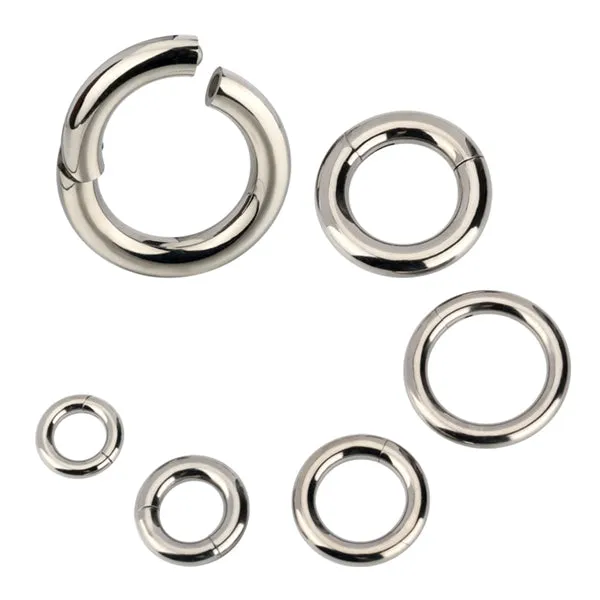 Tulsa Body Jewelry Rings 8g Titanium Hinged Segment Ring Tulsa Body Jewelry Rings 8g Titanium Hinged Segment Ring