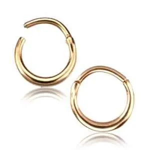 Tulsa Body Jewelry Rings Forged Hinged Segment Ring Tulsa Body Jewelry Rings Forged Hinged Segment Ring
